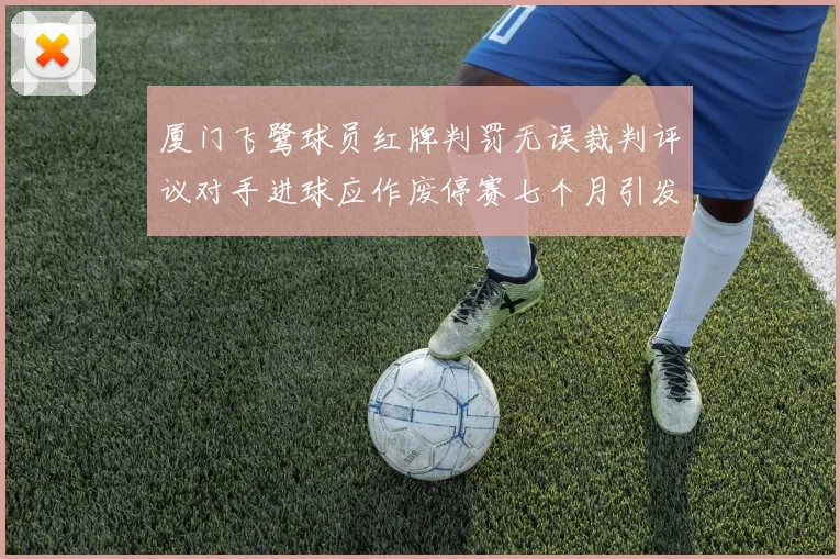 厦门飞鹭球员红牌判罚无误裁判评议对手进球应作废停赛七个月引发热议