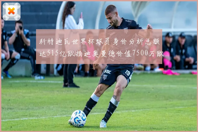 科特迪瓦世界杯球员身价分析总额达515亿欧扬迪奥曼德价值7500万欧