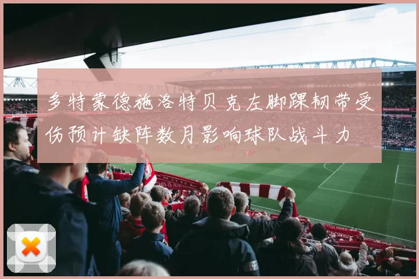 多特蒙德施洛特贝克左脚踝韧带受伤预计缺阵数月影响球队战斗力